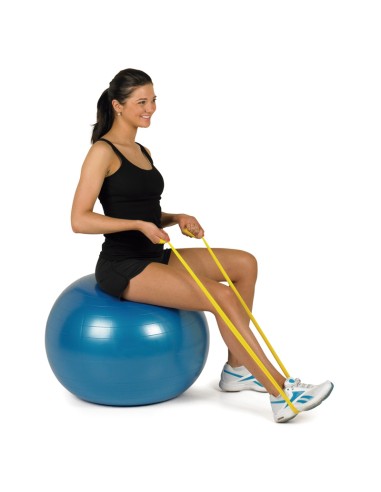 Balones de ejercicio o terapia