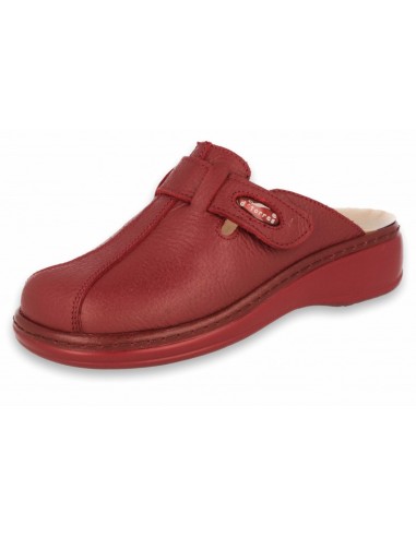 Zuecos sanitarios Máster Plus rojo