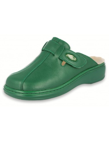 Zuecos sanitarios Máster Plus verde