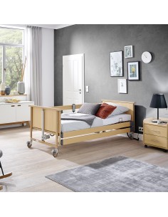 Cama Dali Econ
