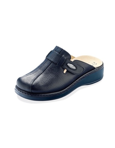 Zuecos sanitarios Máster Plus azul